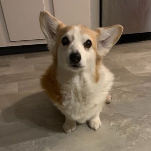 Meet your Posher, Lydia